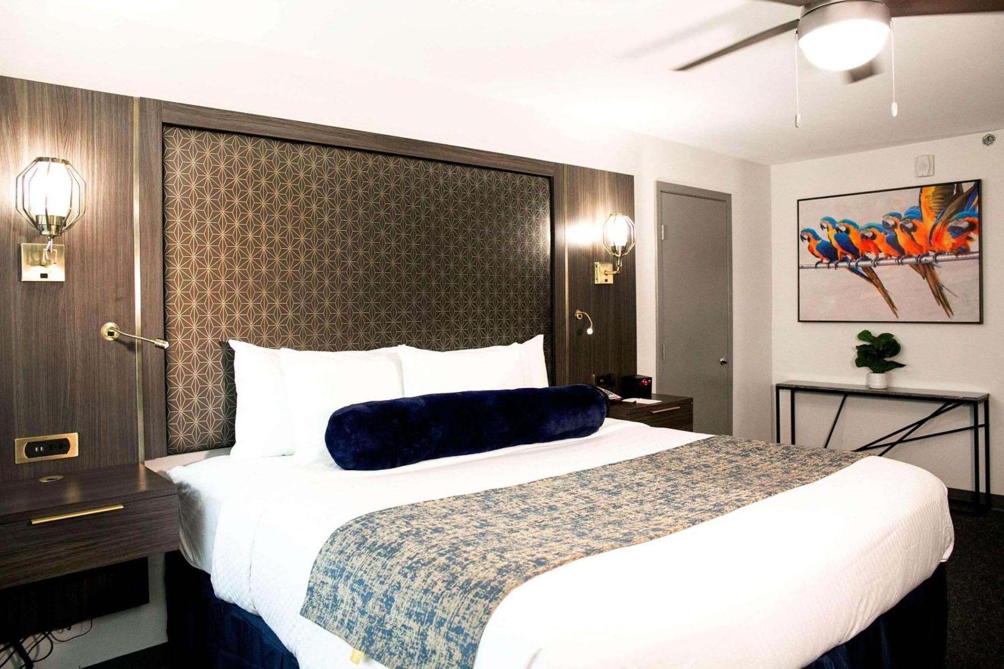 Radisson Hotel Mcallen Airport Zewnętrze zdjęcie