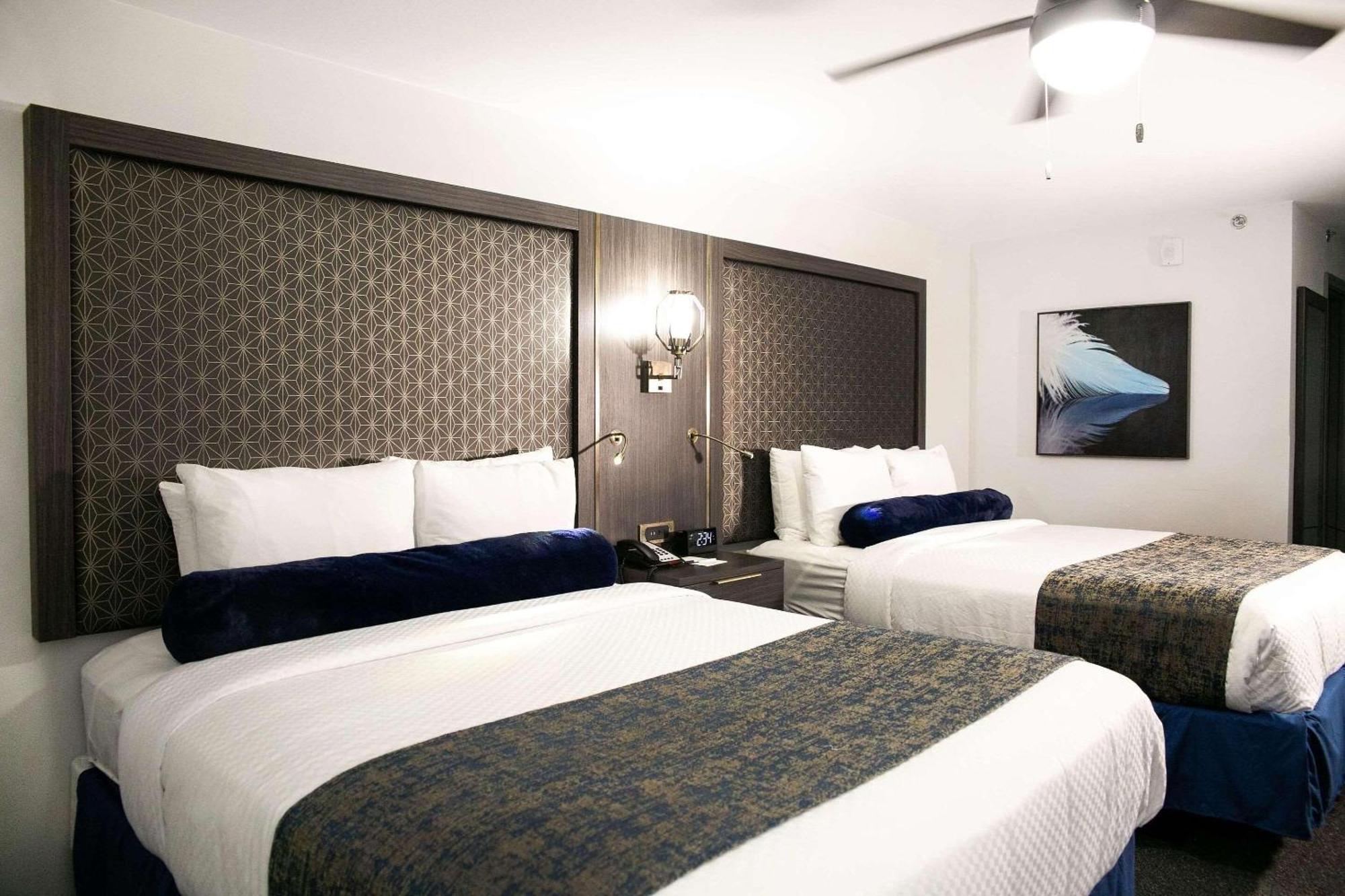 Radisson Hotel Mcallen Airport Zewnętrze zdjęcie
